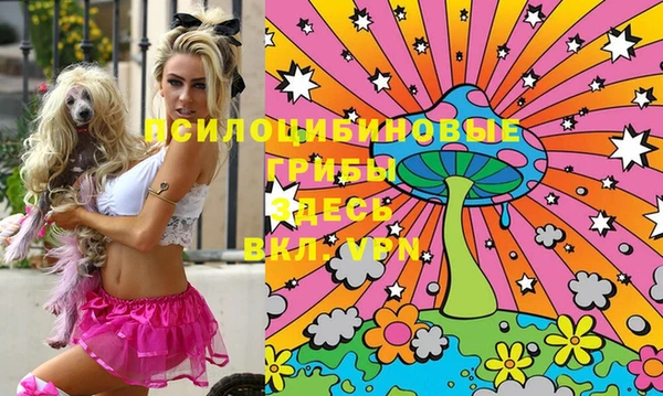 таблы Осинники