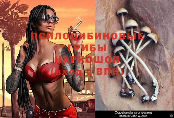 spice Остров