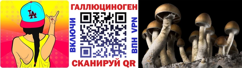 Псилоцибиновые грибы MAGIC MUSHROOMS  kraken tor  даркнет Telegram  наркошоп  Струнино 